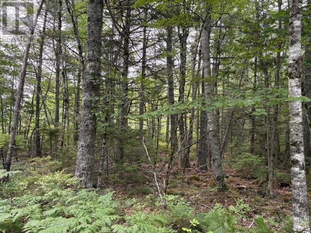 Lot 1-a Country Road, Lakeland Retreats Property Photo 1