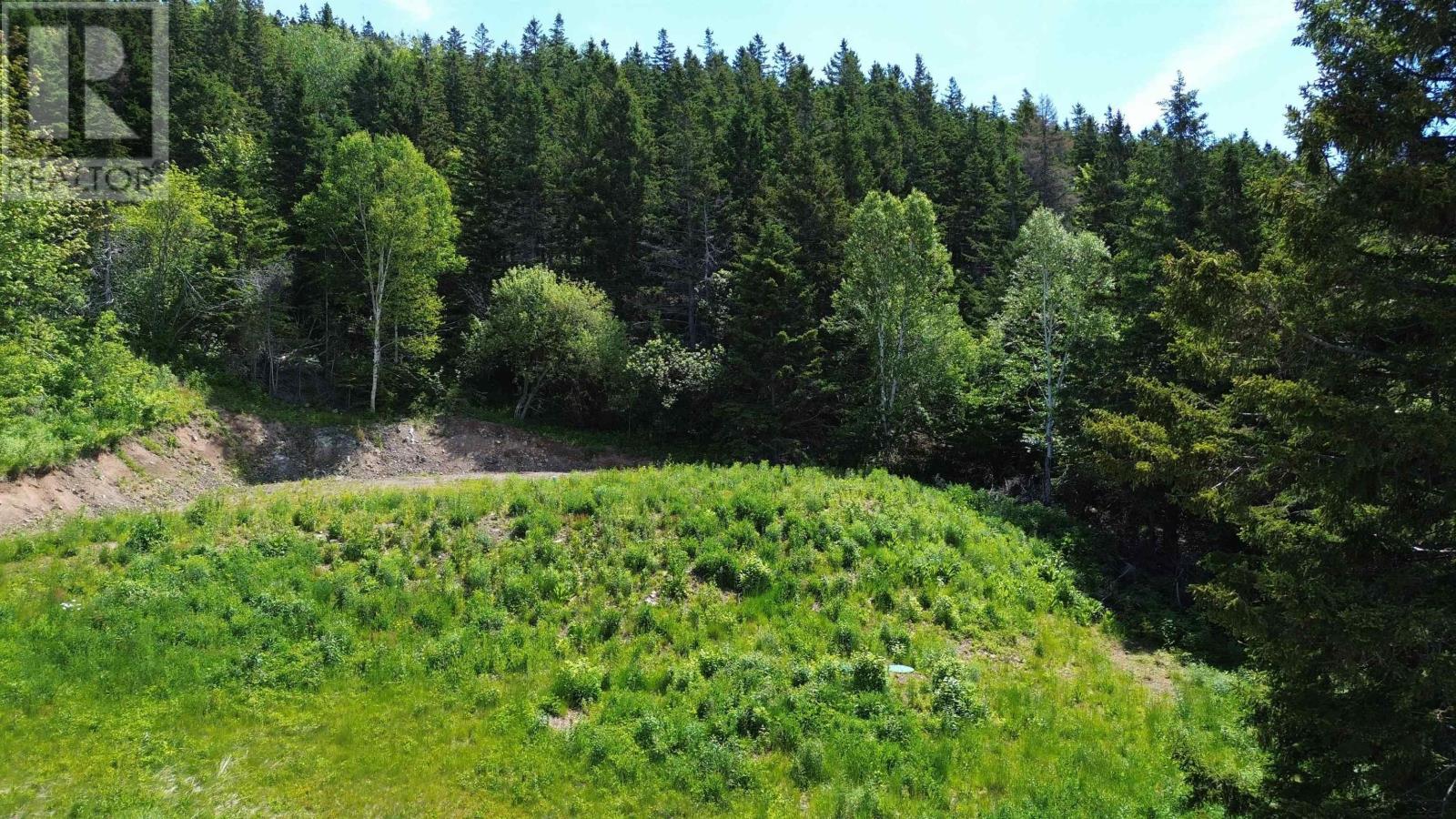 3166 Highway 19 Property Photo 4