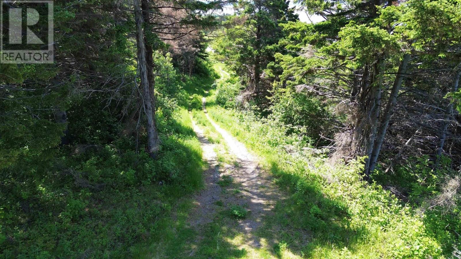 3166 Highway 19 Property Photo 5