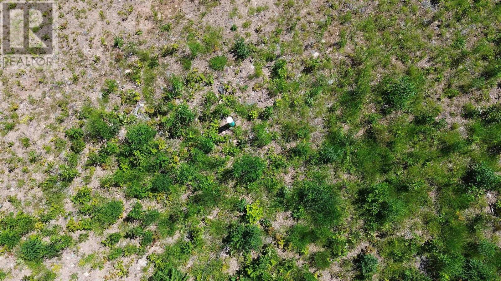 3166 Highway 19 Property Photo 9