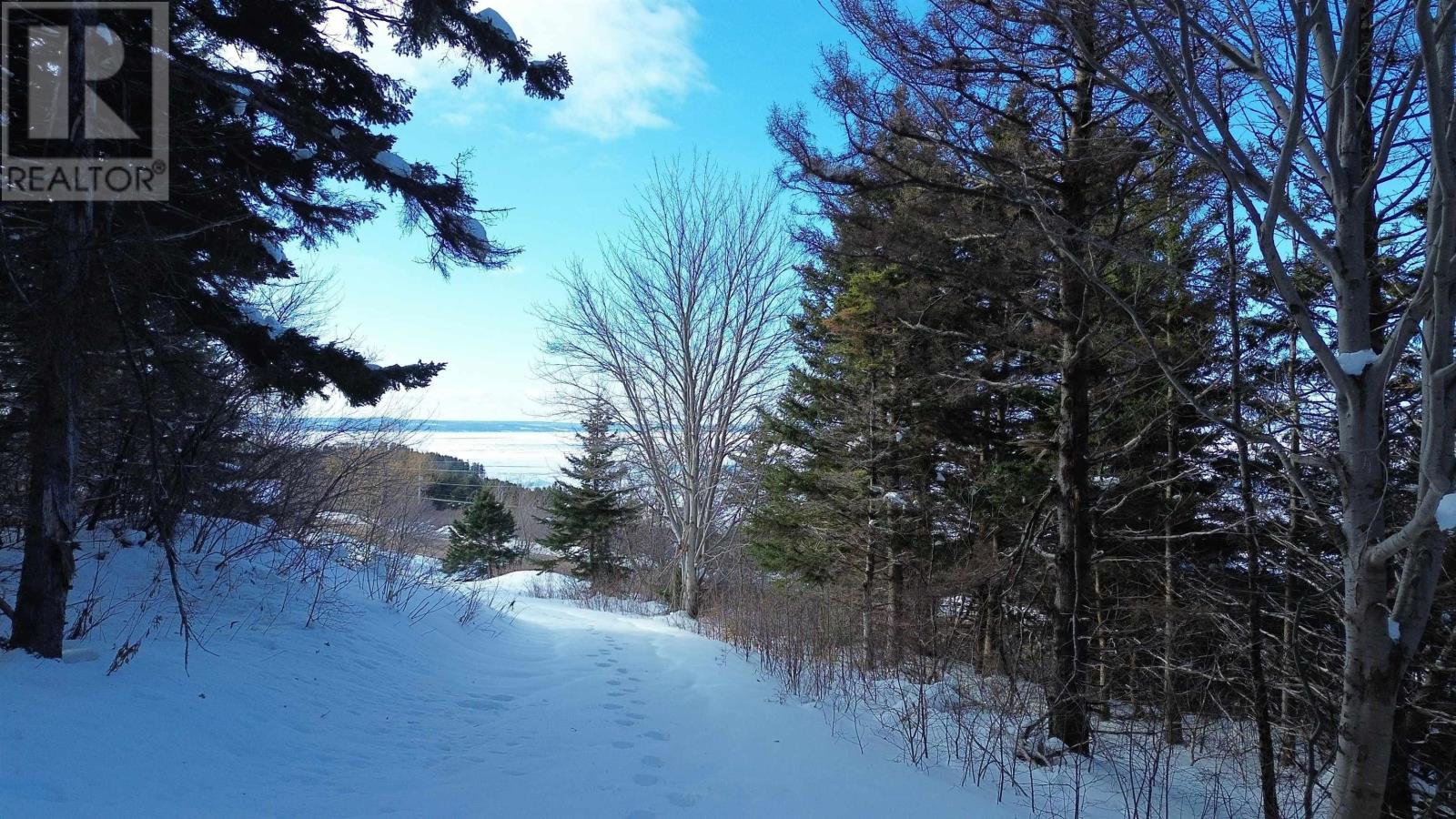 3166 Highway 19 Property Photo 10