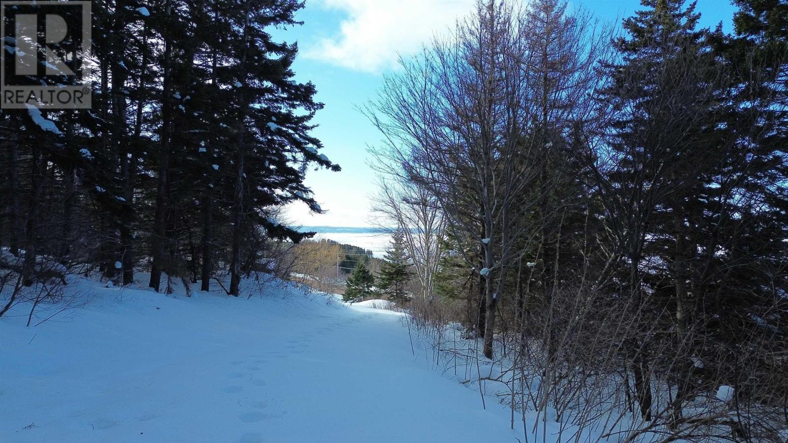 3166 Highway 19 Property Photo 12