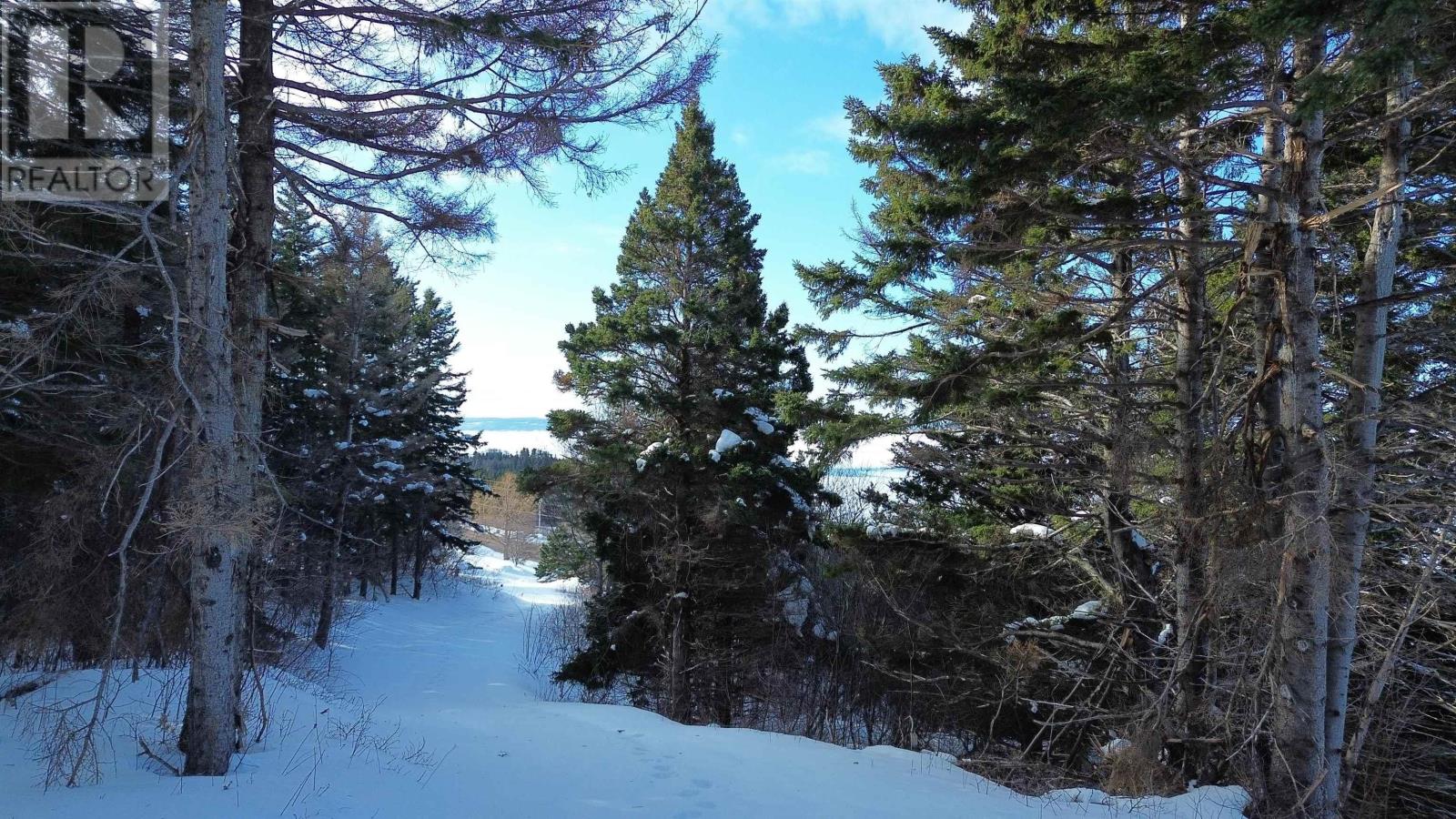 3166 Highway 19 Property Photo 14