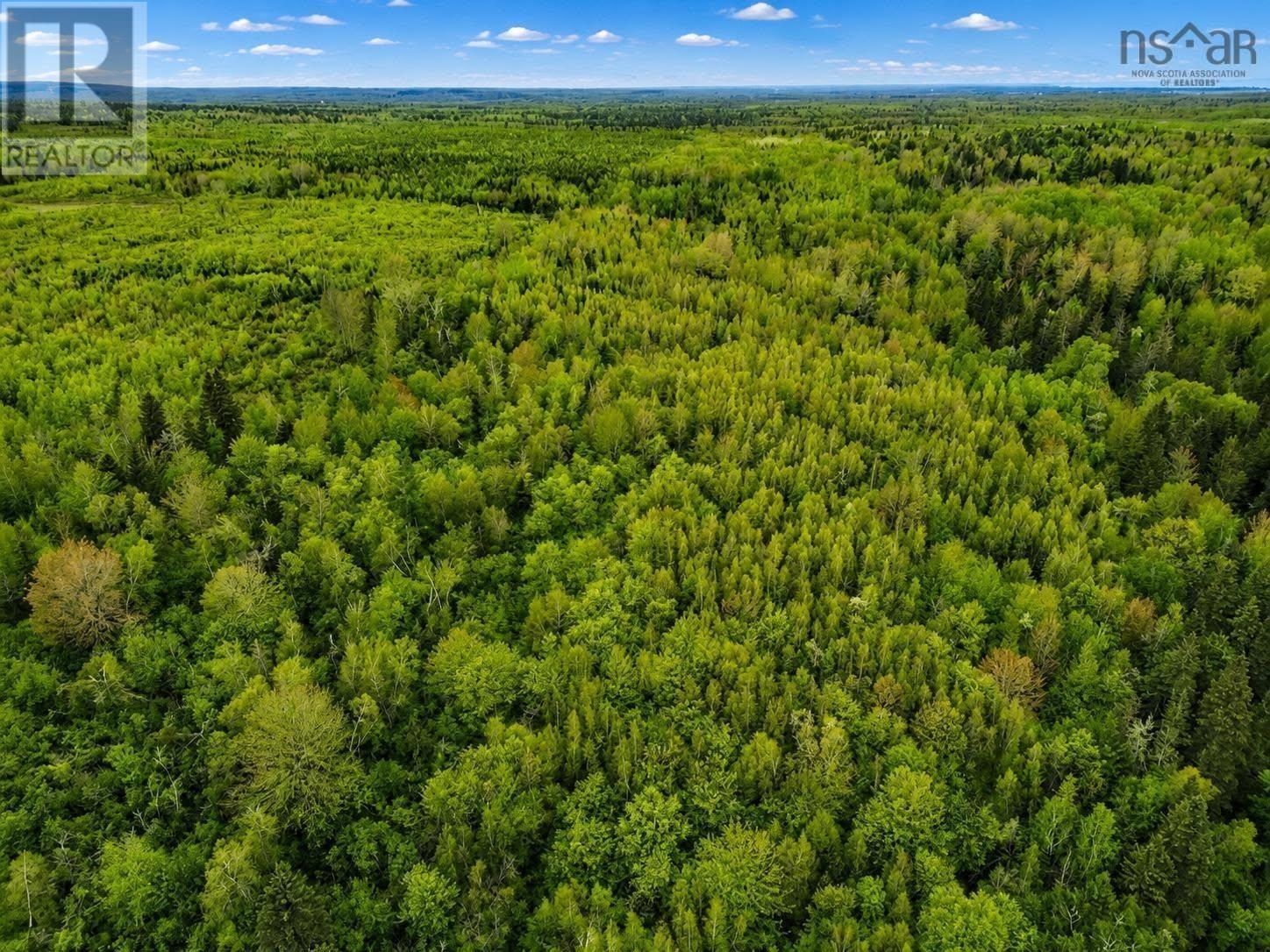 1075 Pugwash River Road Property Photo 15