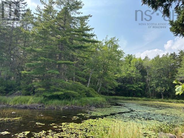 Lot 25 Beaver Dam Trail Property Photo 3