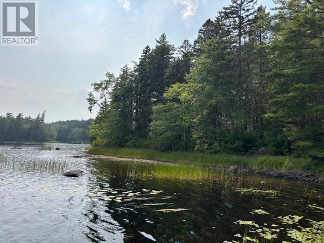 Lot 25 Beaver Dam Trail Property Photo 4