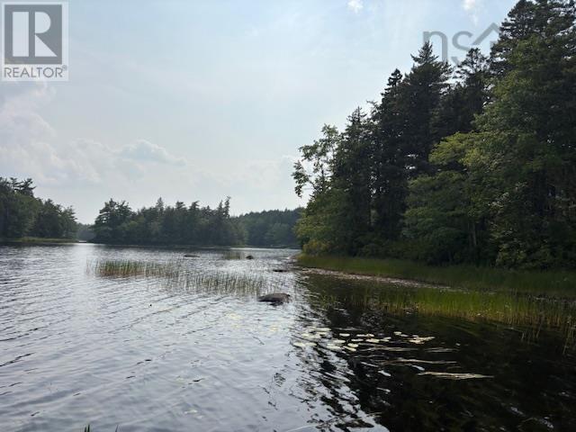 Lot 25 Beaver Dam Trail Property Photo 5