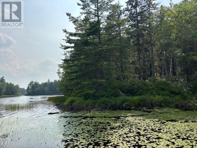 Lot 25 Beaver Dam Trail Property Photo 6