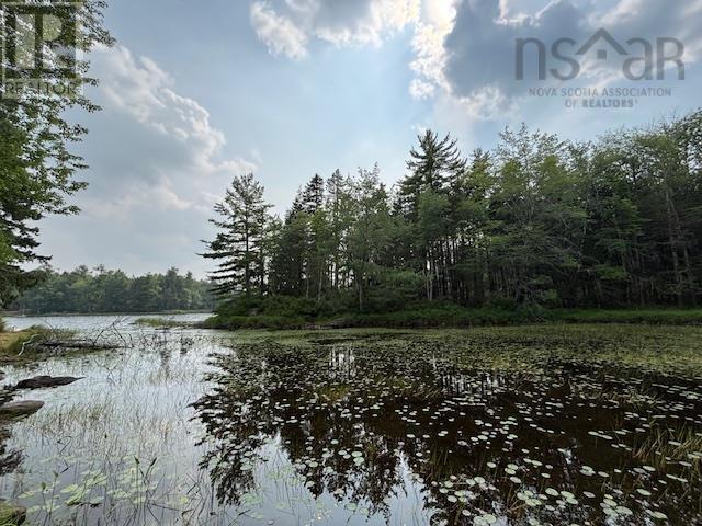 Lot 25 Beaver Dam Trail Property Photo 8