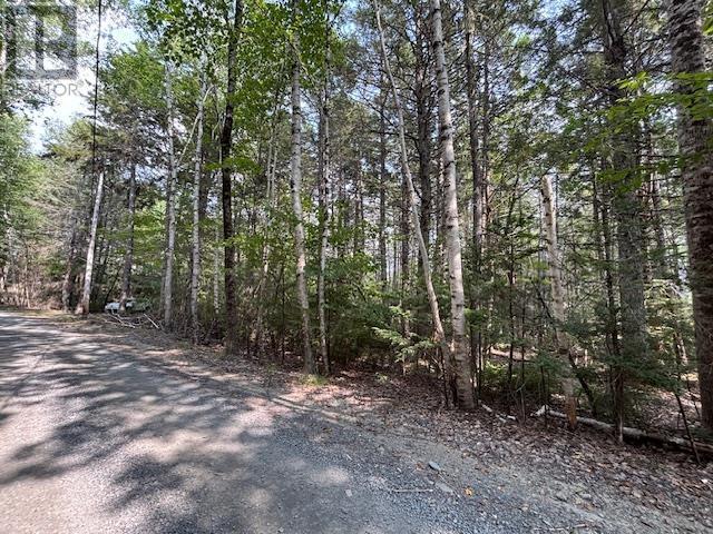 Lot 25 Beaver Dam Trail Property Photo 9
