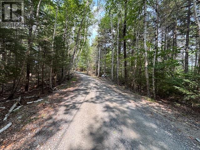 Lot 25 Beaver Dam Trail Property Photo 10