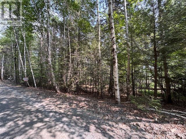 Lot 25 Beaver Dam Trail Property Photo 11