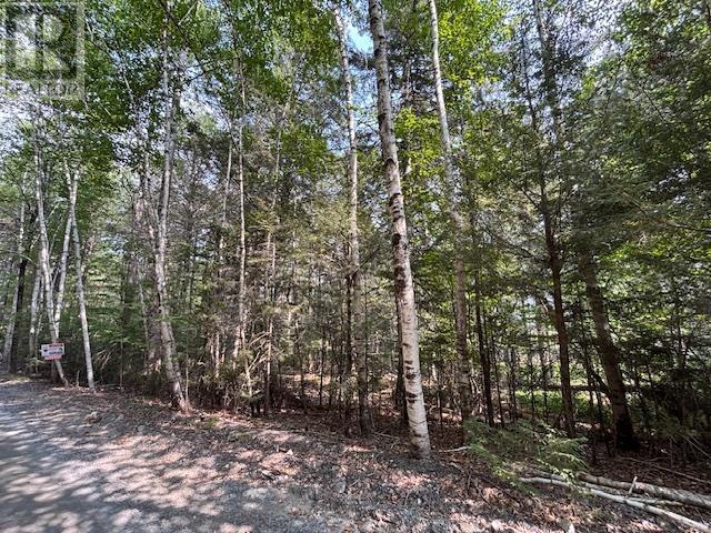 Lot 25 Beaver Dam Trail Property Photo 12