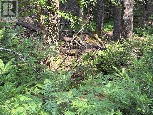 Lot 25 Beaver Dam Trail Property Photo 13