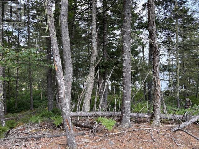 Lot 25 Beaver Dam Trail Property Photo 25