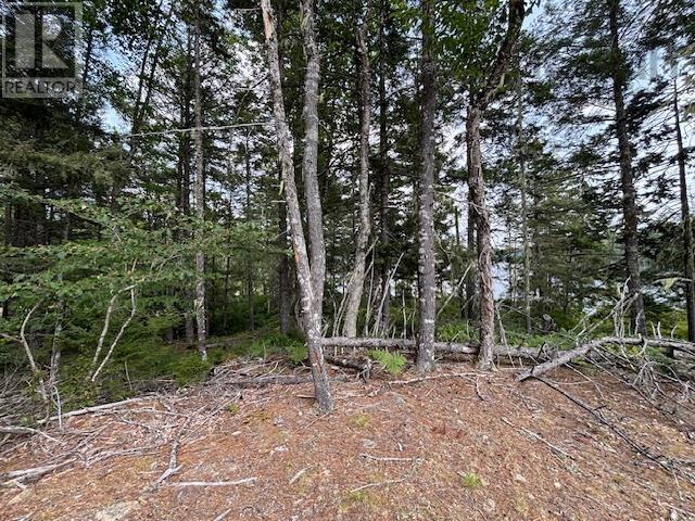 Lot 25 Beaver Dam Trail Property Photo 26