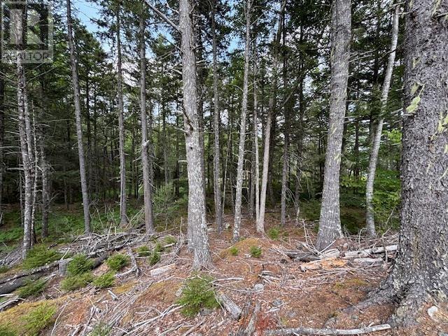 Lot 25 Beaver Dam Trail Property Photo 27