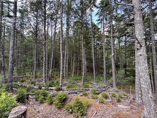 Lot 25 Beaver Dam Trail Property Photo 28
