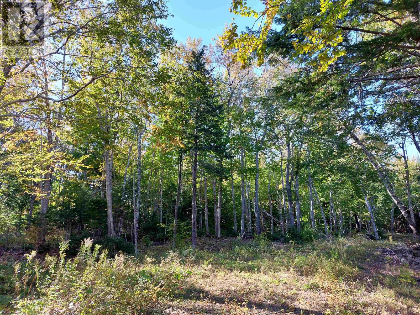 Lot 50 Redbird Dr. Property Photo 16