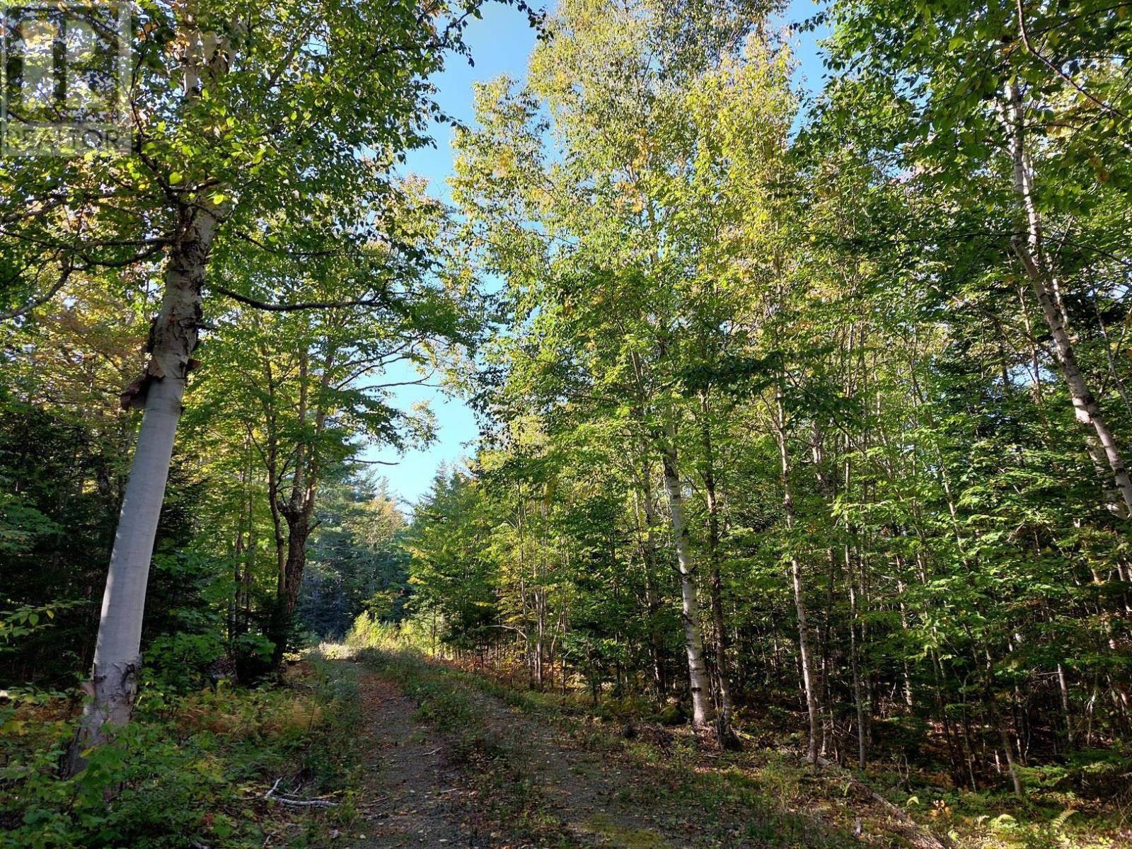Lot 50 Redbird Dr. Property Photo 18