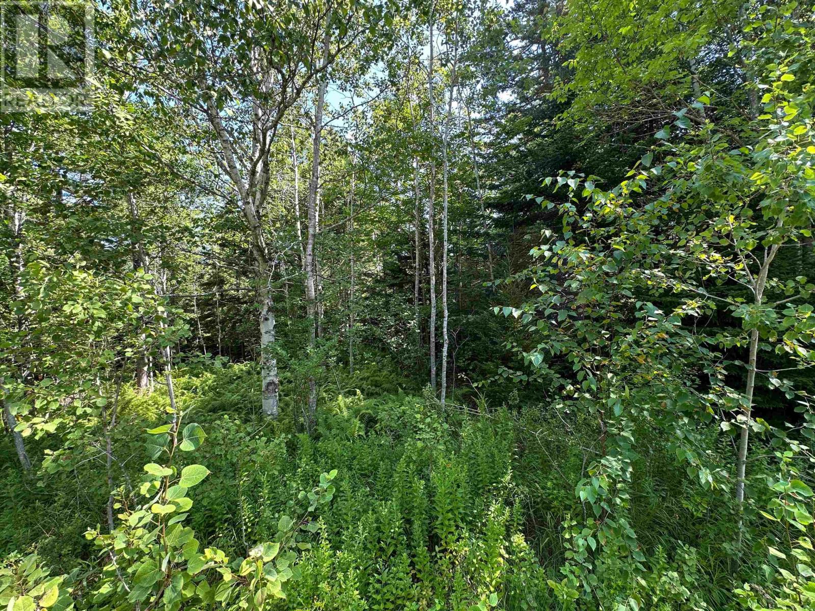 Lot 103 Crouses Settlement Road Property Photo 6