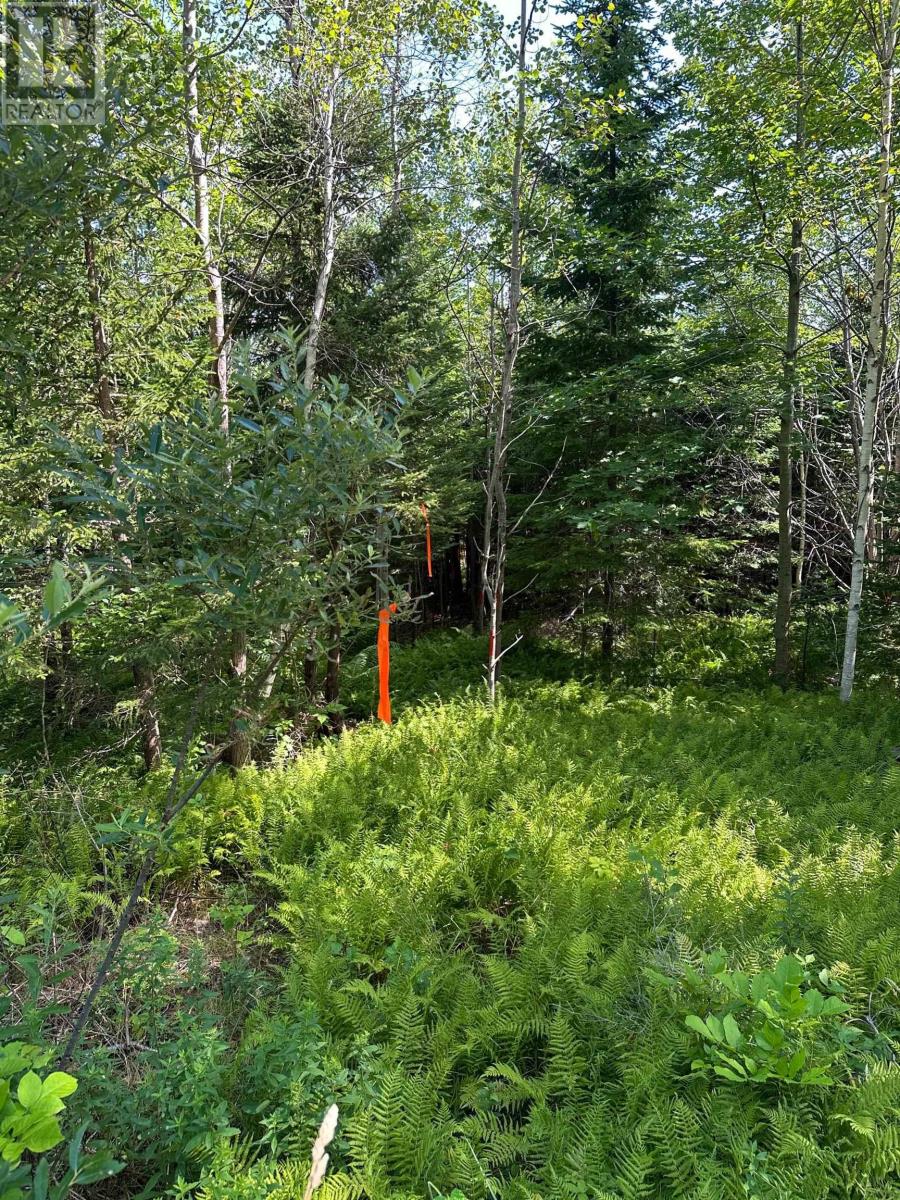 Lot 103 Crouses Settlement Road Property Photo 7