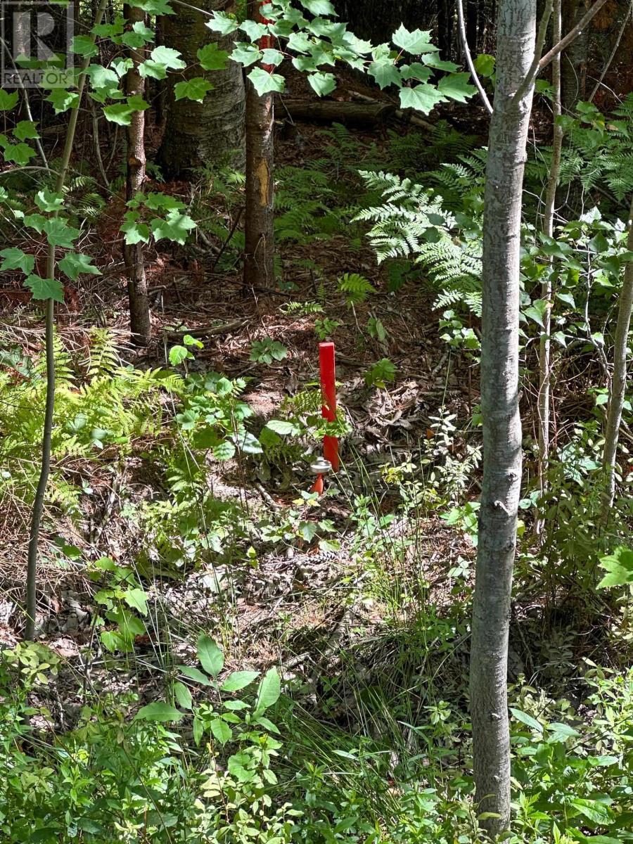 Lot 103 Crouses Settlement Road Property Photo 8