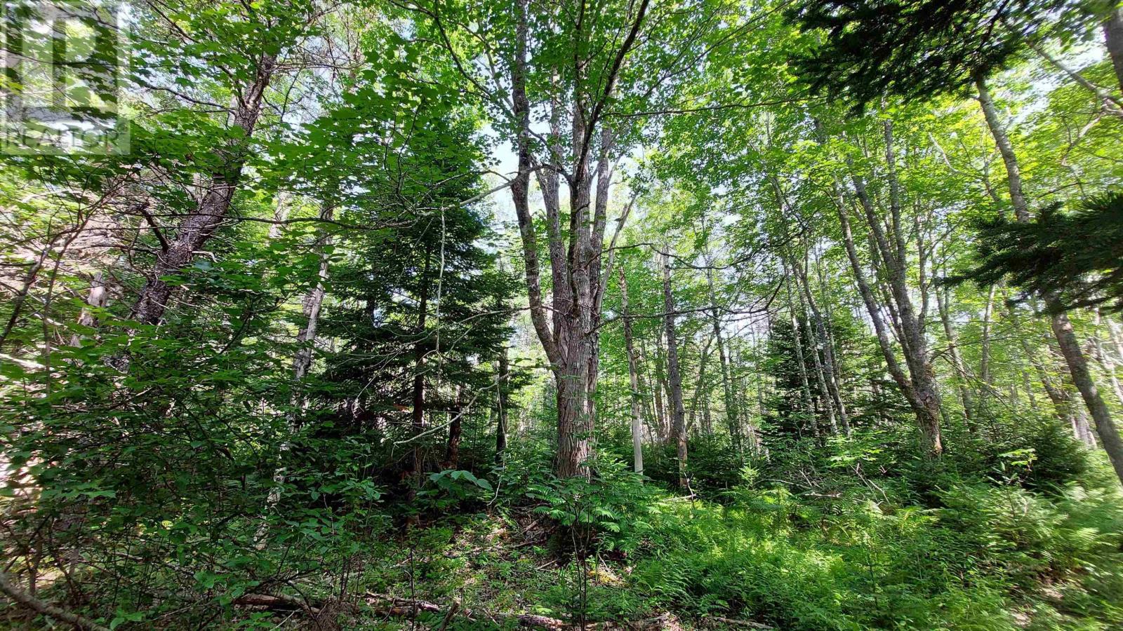 Lot 5 Tranquil Shore Rd Property Photo 11