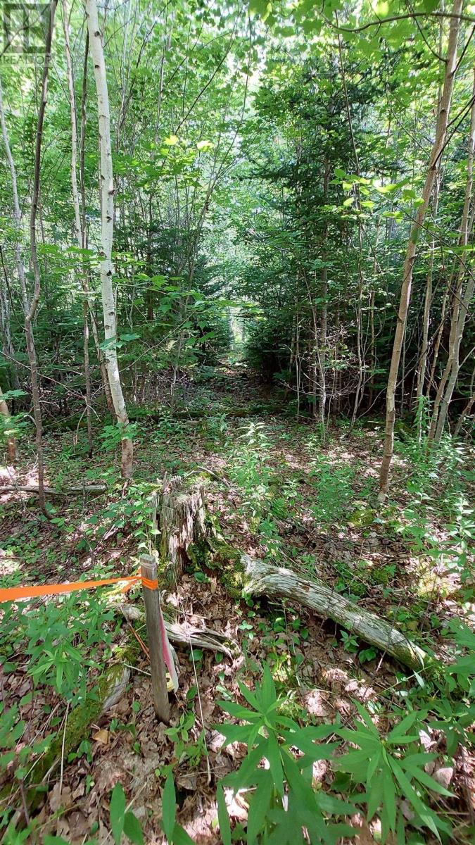 Lot 5 Tranquil Shore Rd Property Photo 12