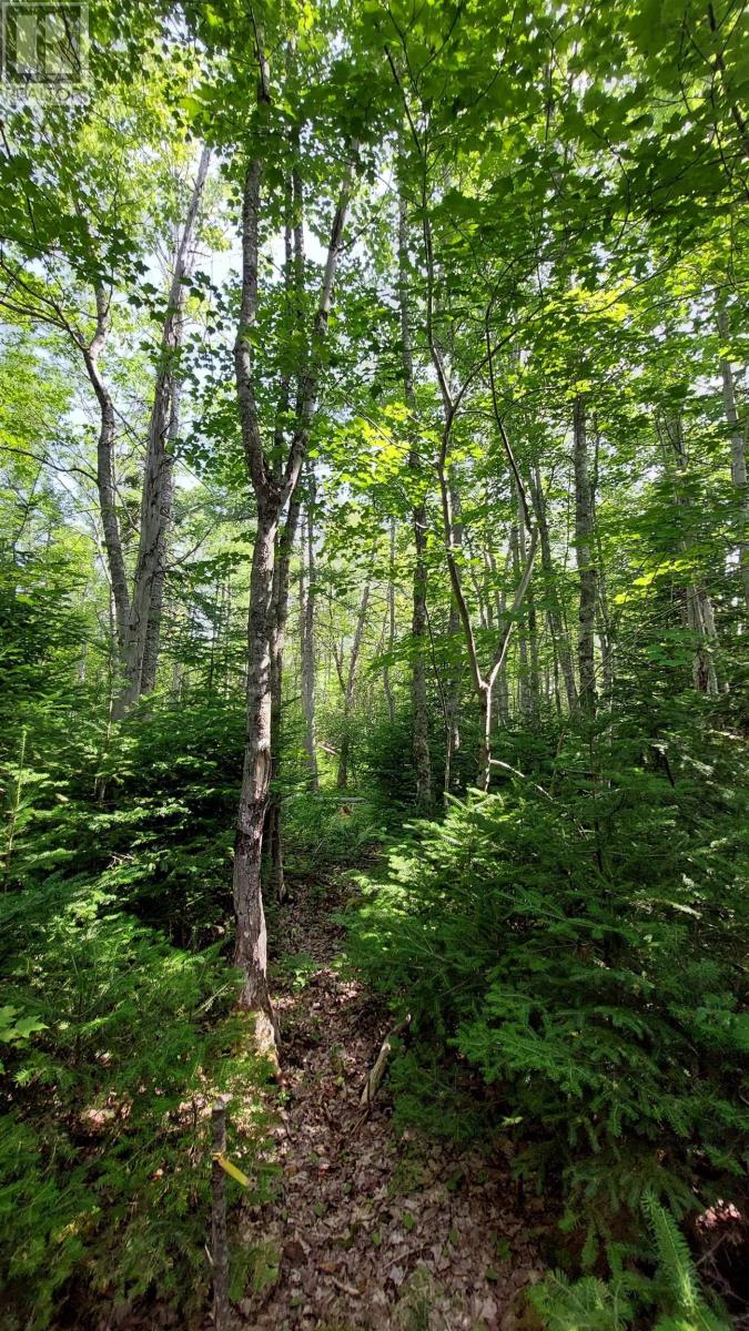 Lot 5 Tranquil Shore Rd Property Photo 13