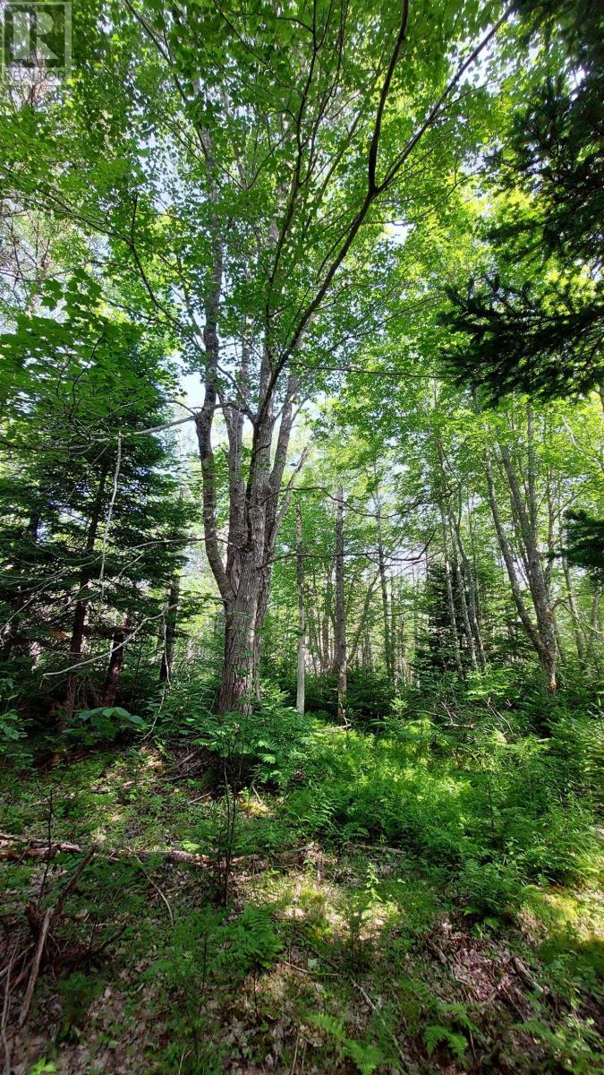 Lot 5 Tranquil Shore Rd Property Photo 14