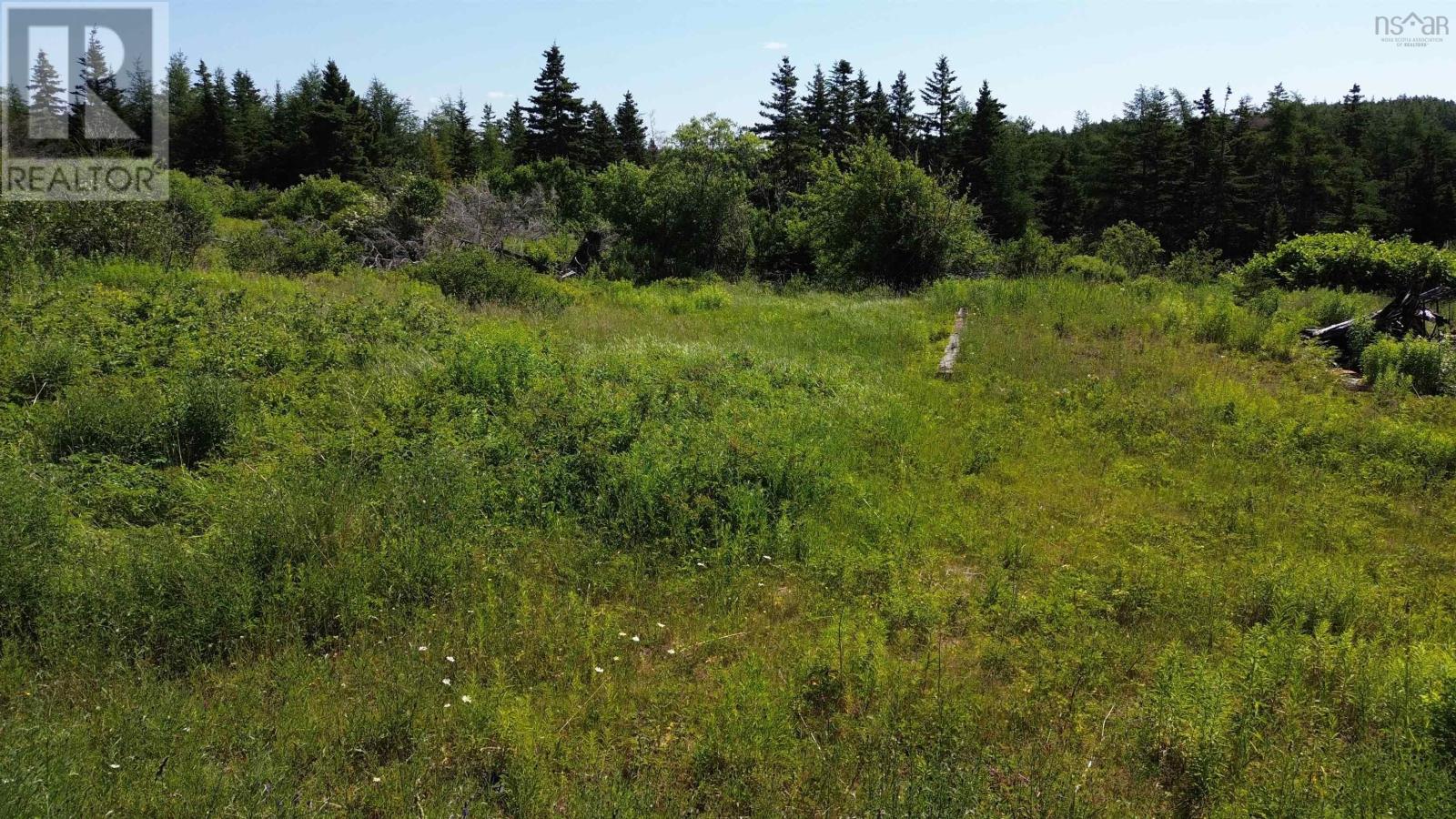 1183 Fourchu Rd Property Photo 3