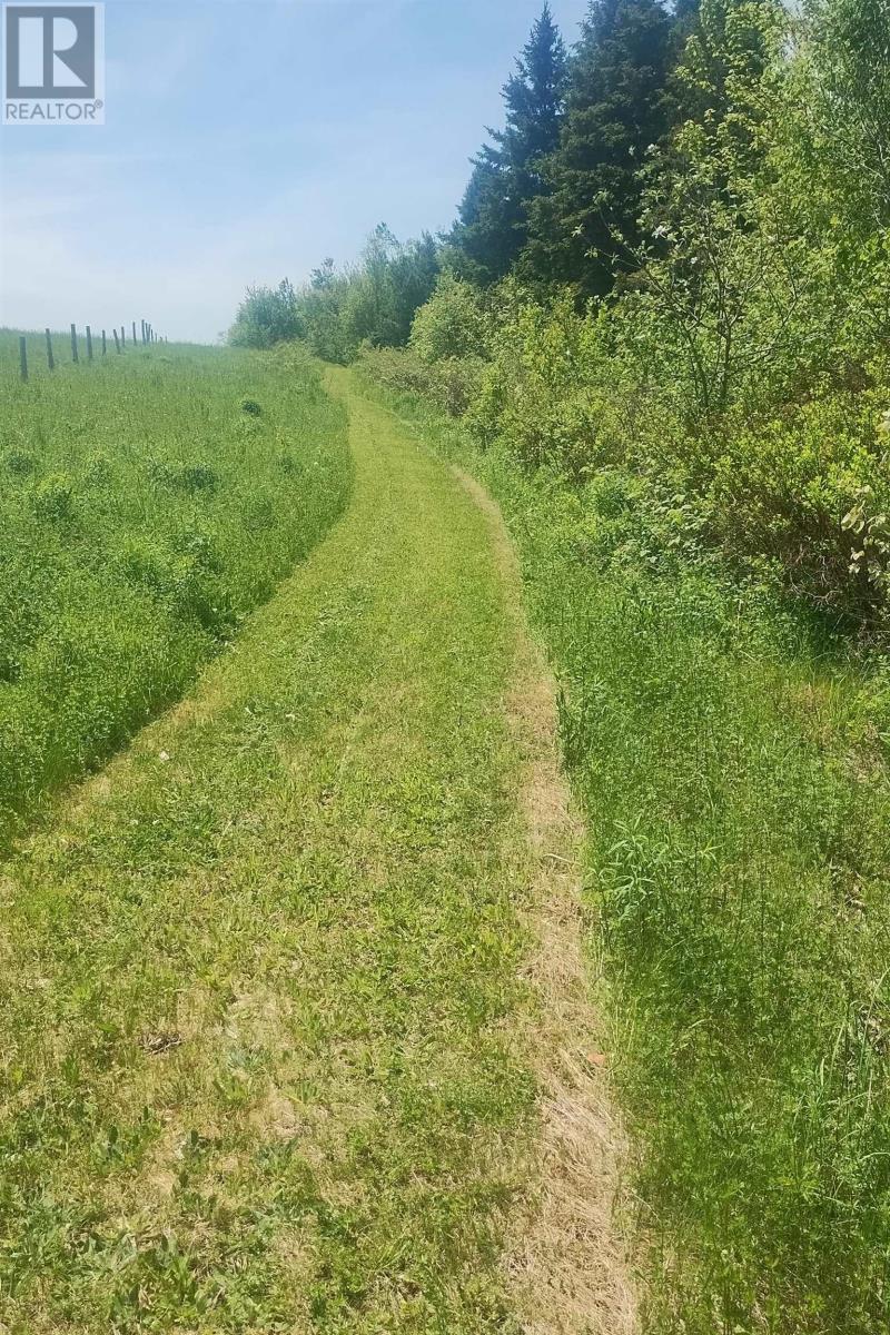 Lot 25-2 7737 Highway 321 Property Photo 8