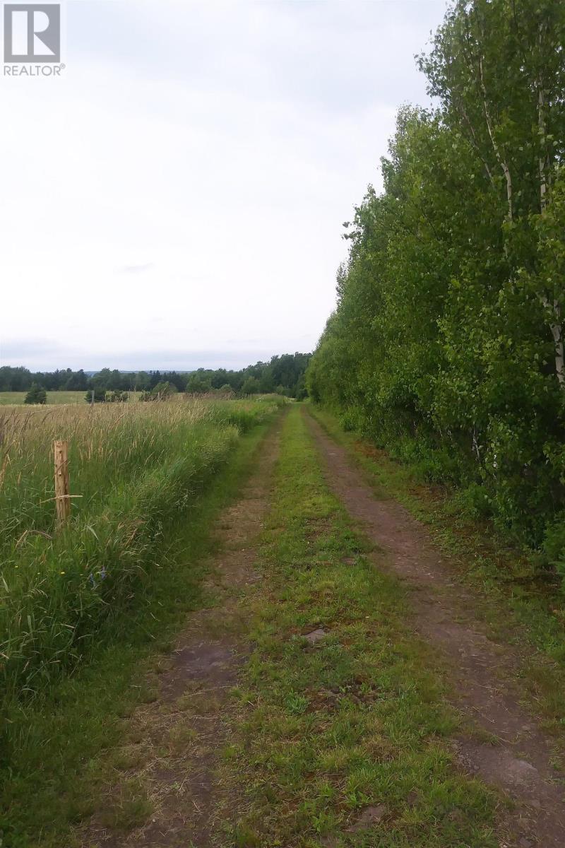 Lot 25-2 7737 Highway 321 Property Photo 9