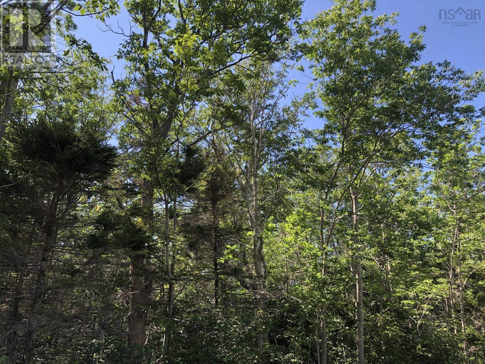 Lot Lighthouse Road Property Photo 4