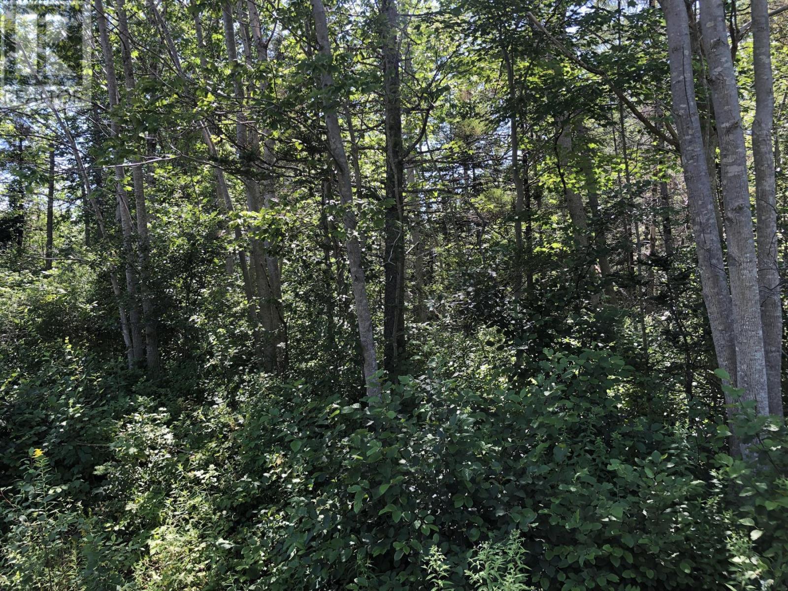 Lot Lighthouse Road Property Photo 5