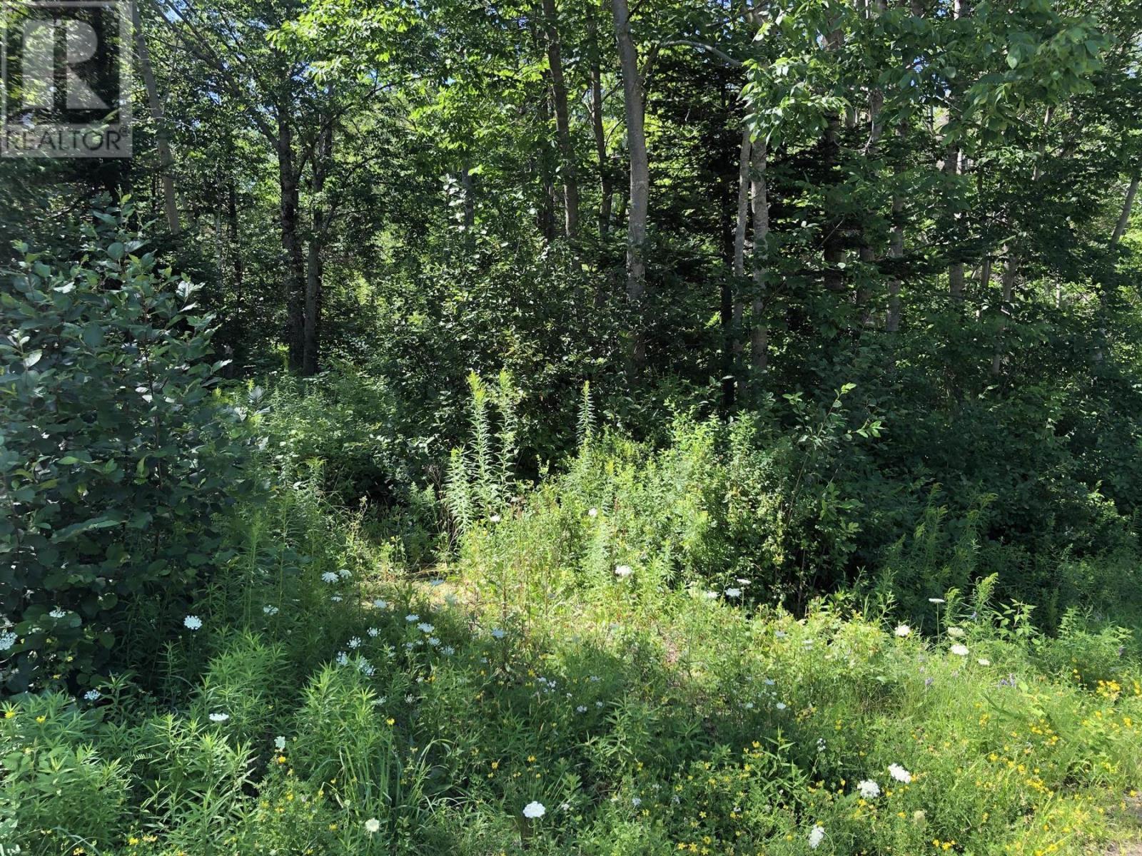 Lot Lighthouse Road Property Photo 7