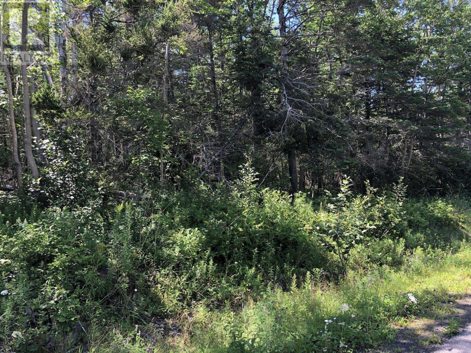 Lot Lighthouse Road Property Photo 9