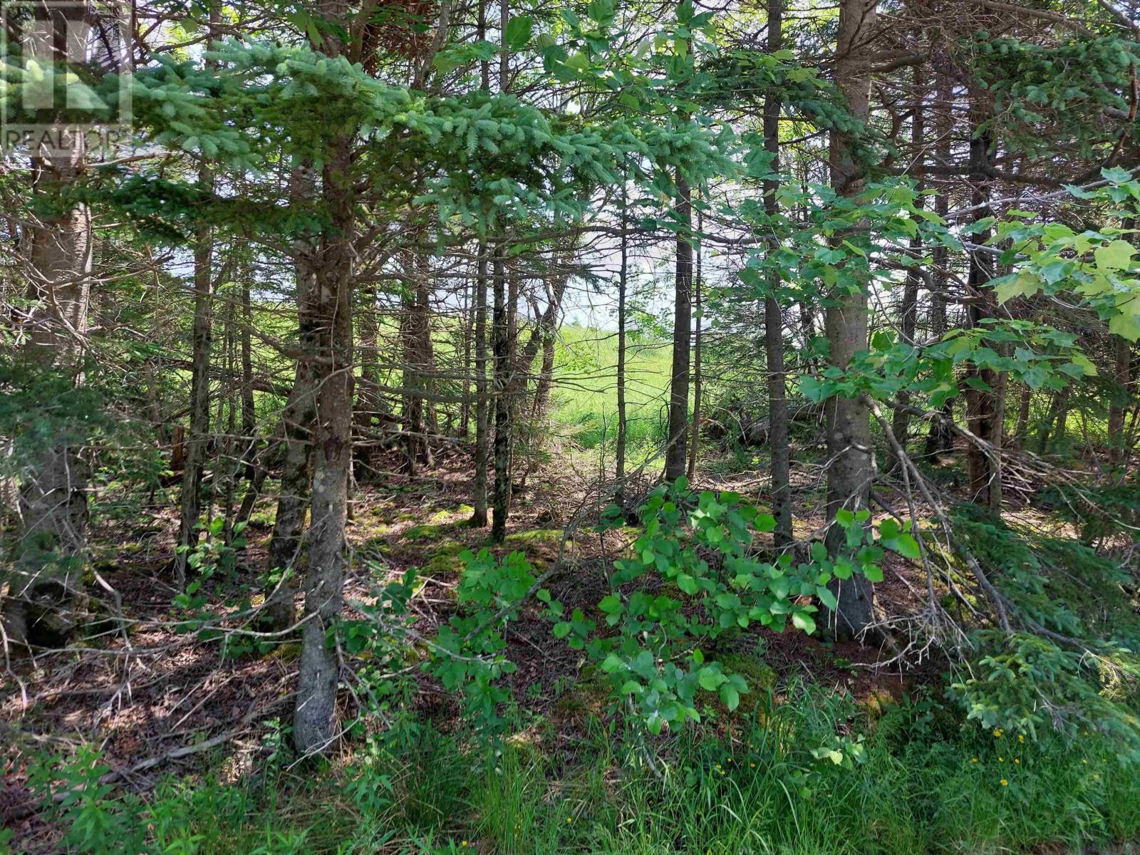 Lot 3 Grand Mira Rd S Property Photo 10