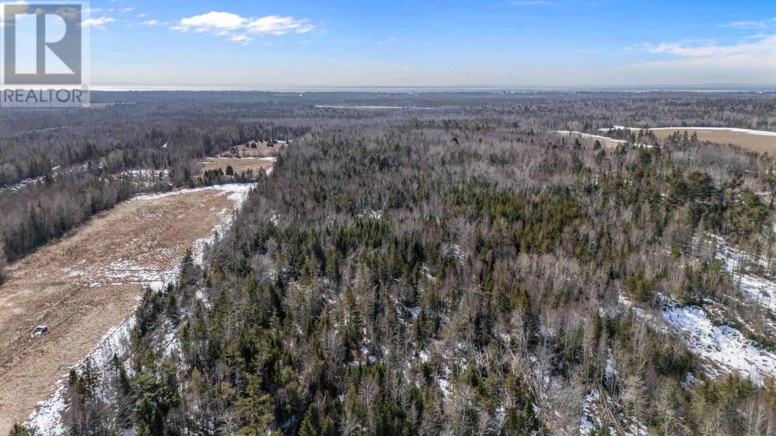 Acreage Moore Drive Property Photo 7