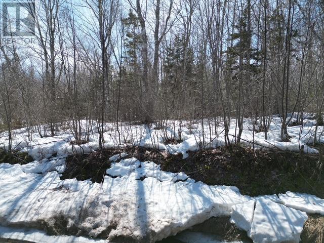 Lot Cloverdale Road Property Photo 1