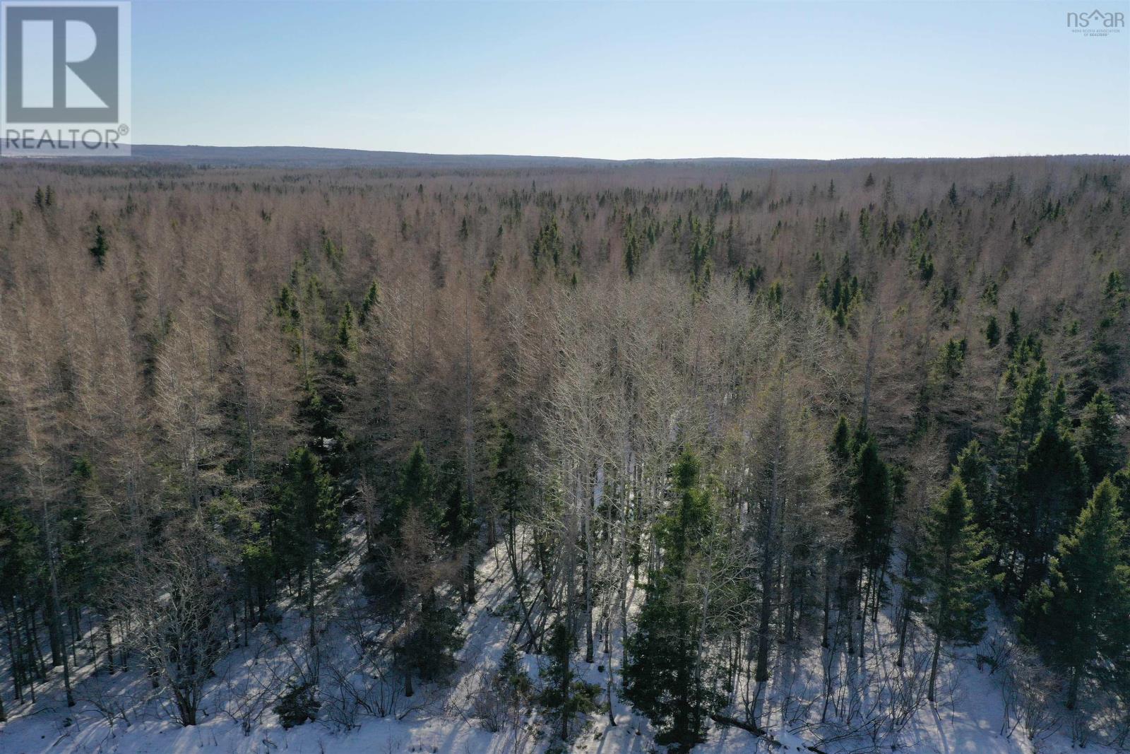 Lot 4e Whycocomagh-port Hood Road Property Photo 3