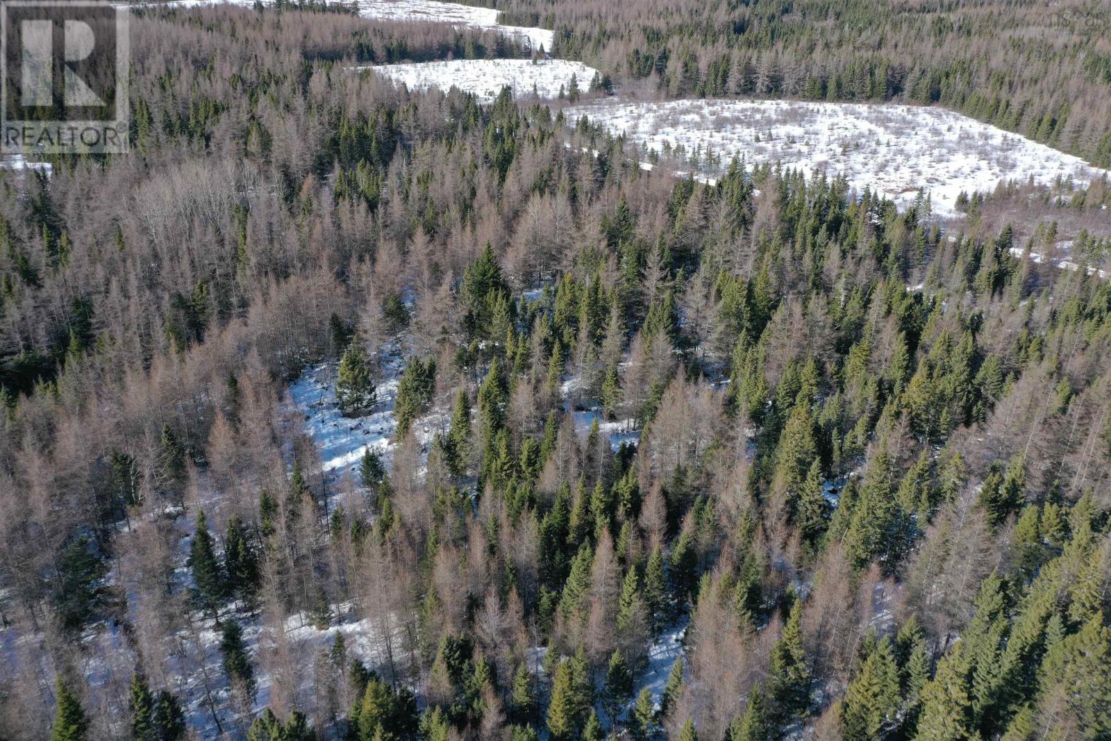 Lot 4e Whycocomagh-port Hood Road Property Photo 4