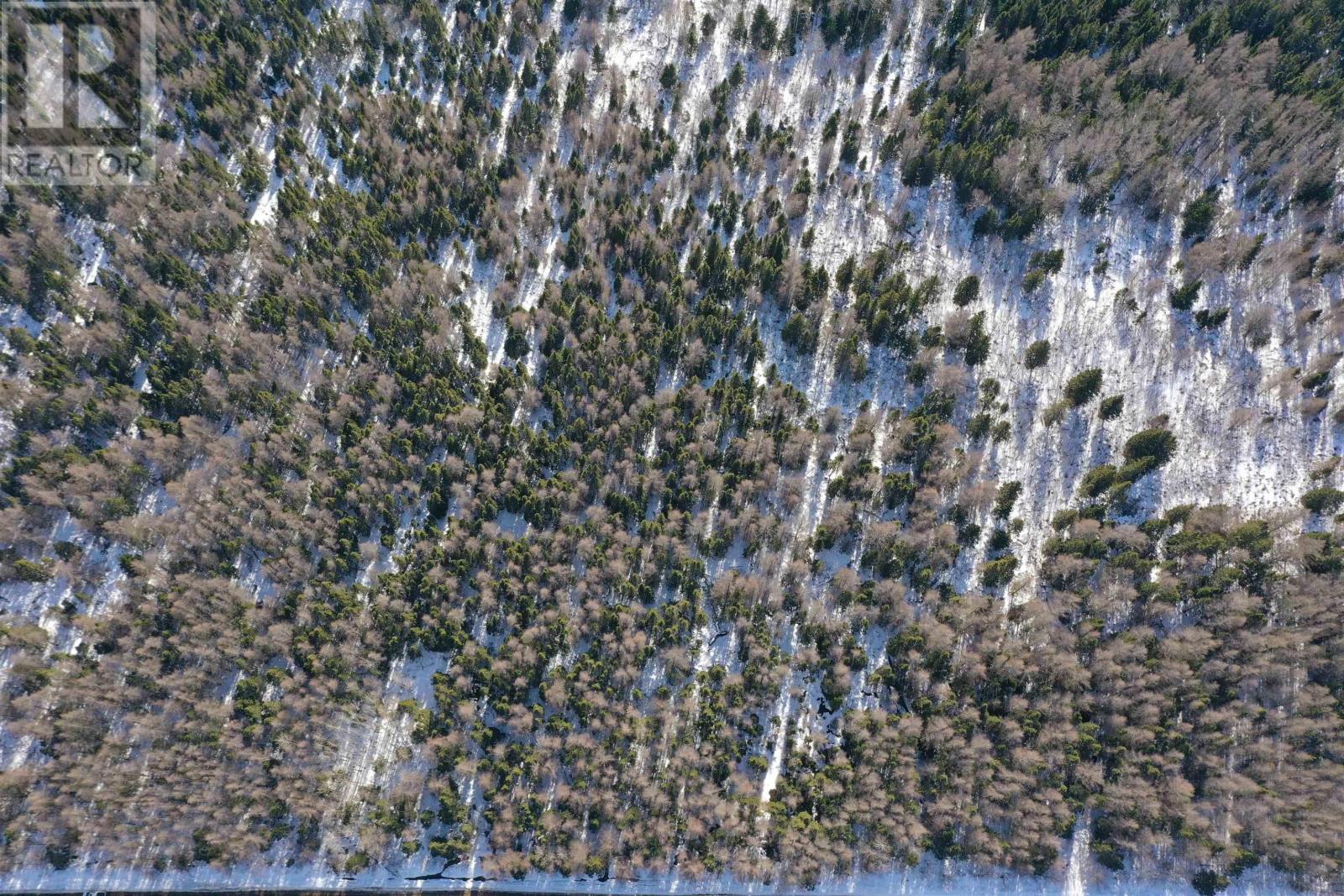 Lot 4e Whycocomagh-port Hood Road Property Photo 13