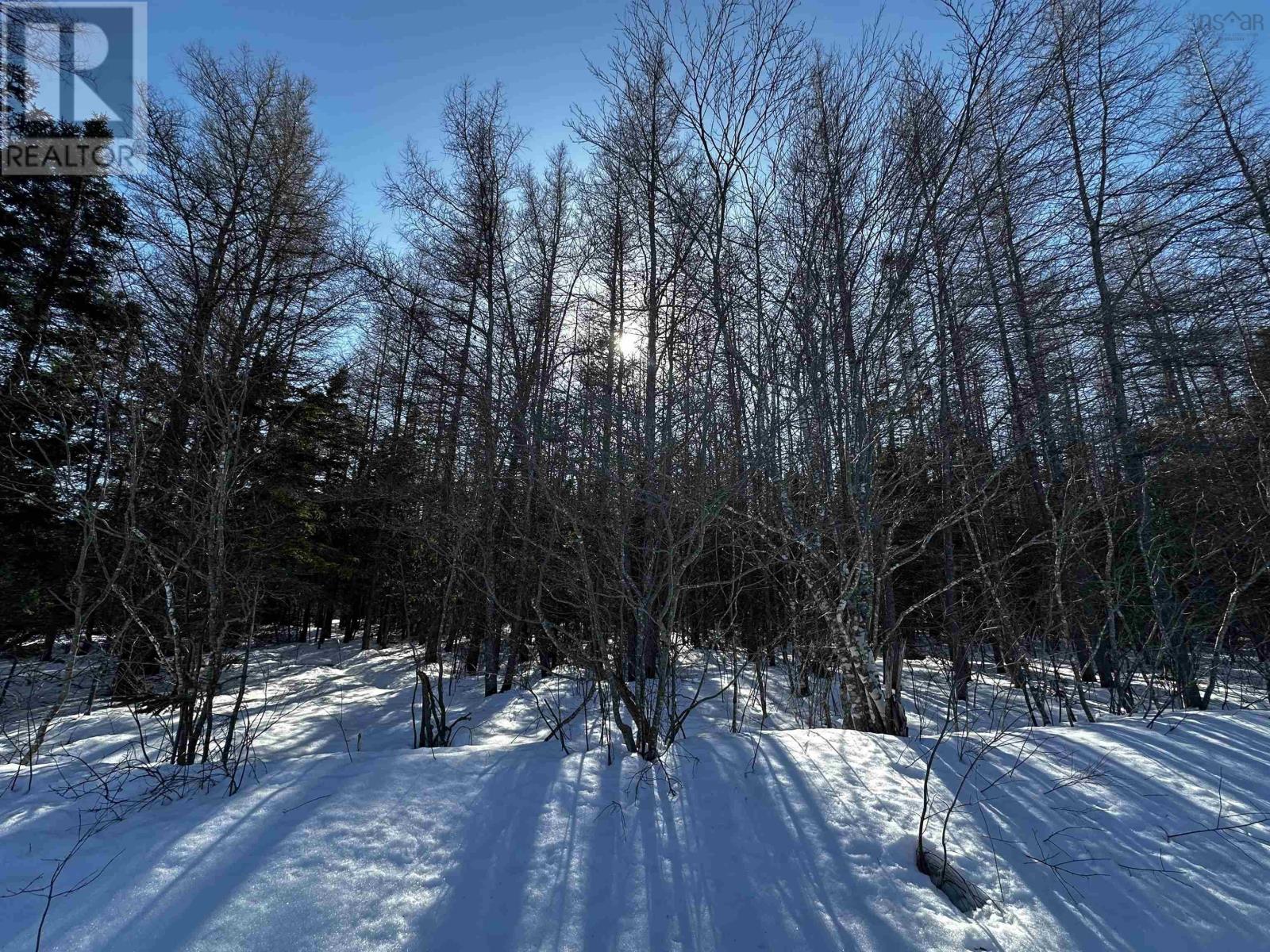 Lot 4e Whycocomagh-port Hood Road Property Photo 20