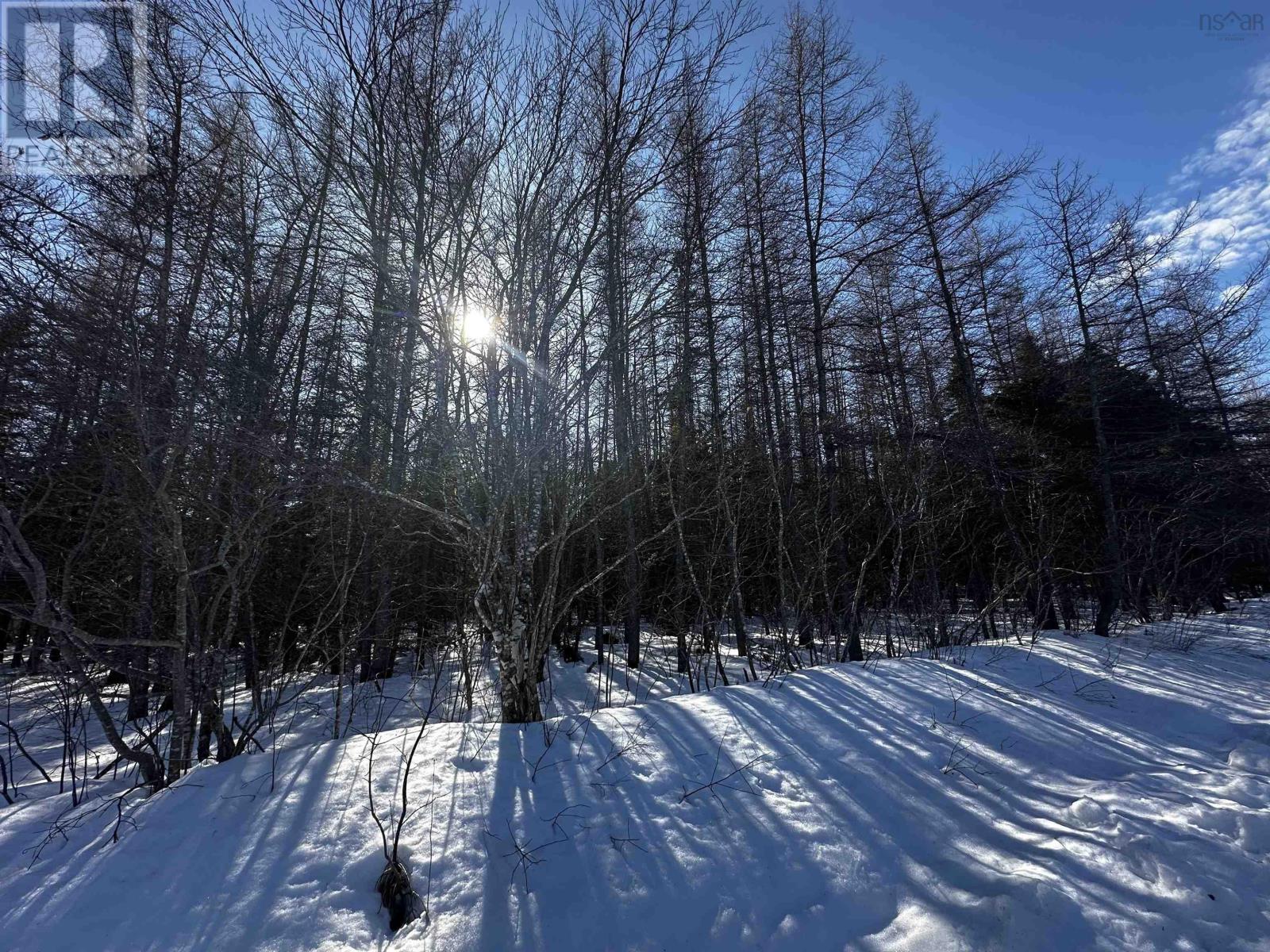 Lot 4e Whycocomagh-port Hood Road Property Photo 22