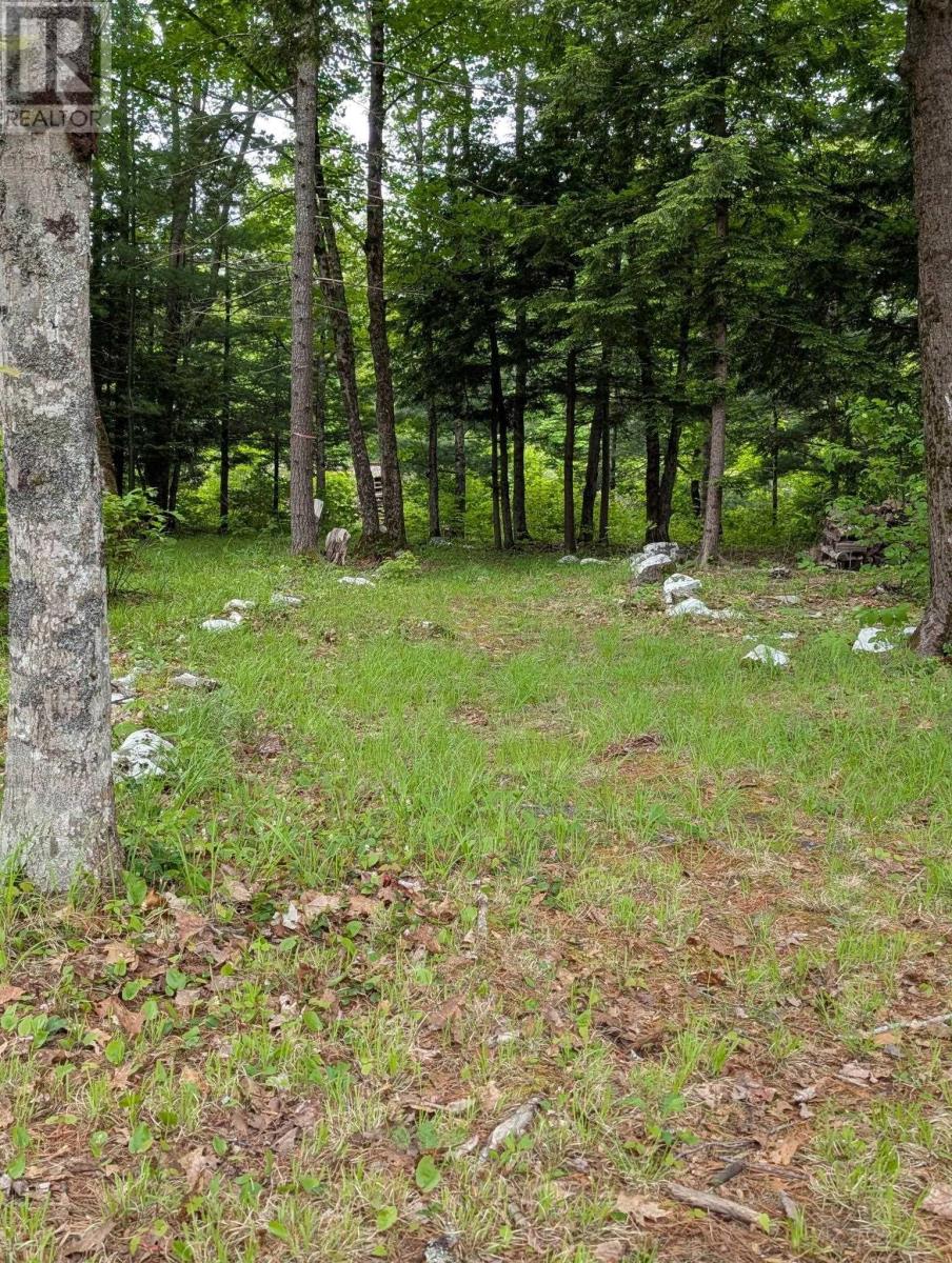 67 Station Road Property Photo 11