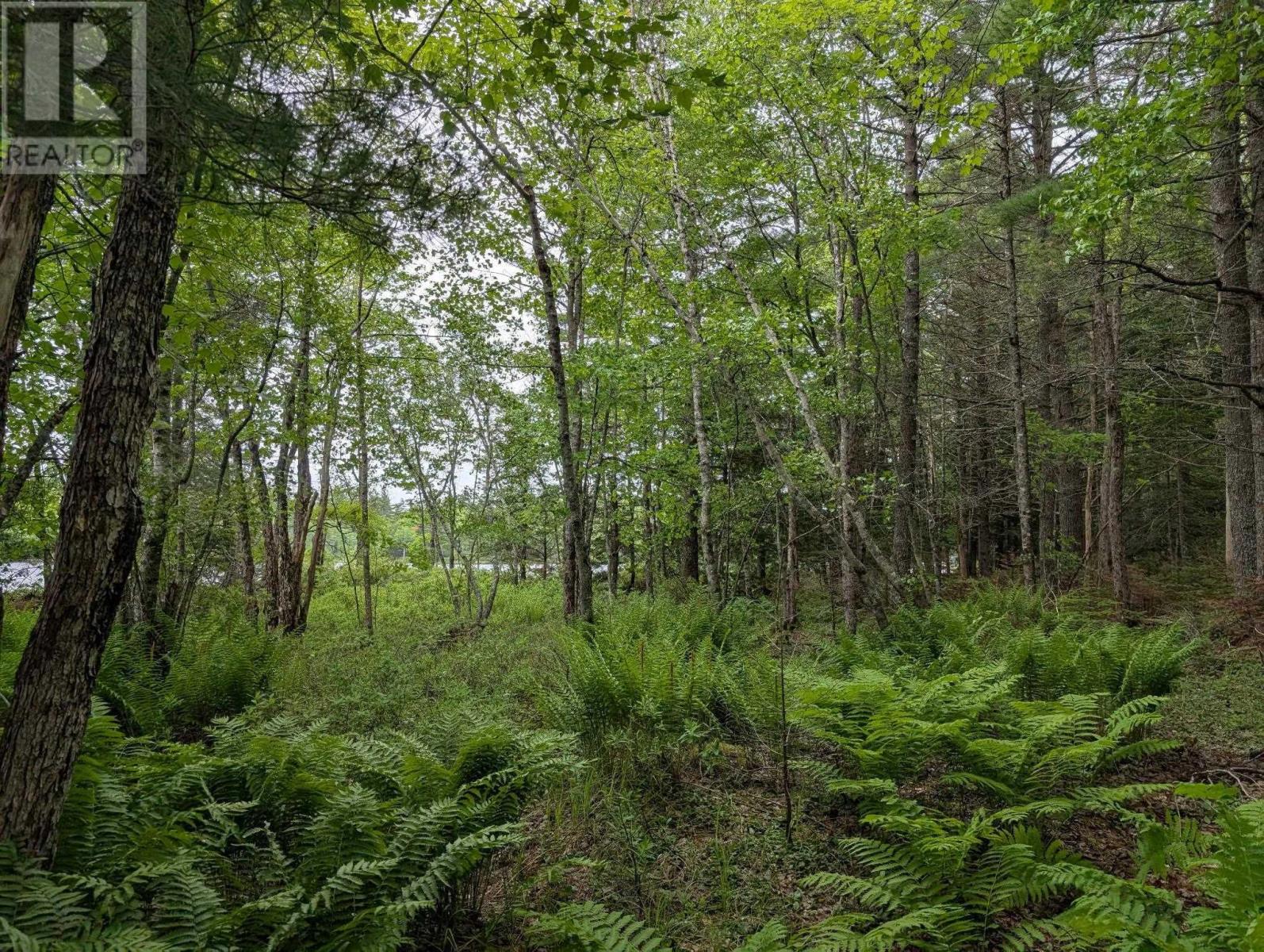 67 Station Road Property Photo 20