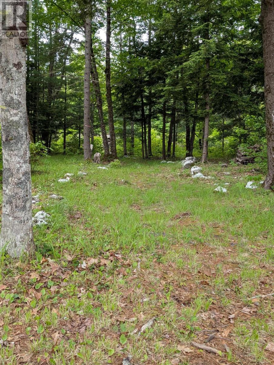 67 Station Road Property Photo 30