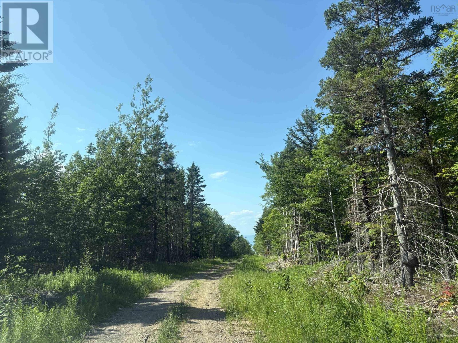 Lot 9 Longley Mountain Road Property Photo 13